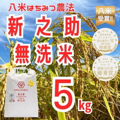 【令和7年産】HACHIBEI 八米 はちみつ農法 新之助 無洗米 5kg 