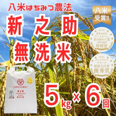 【令和8年産新米先行受付】6ヶ月定期便 八米 はちみつ農法 新之助 無洗米 5kg×6回