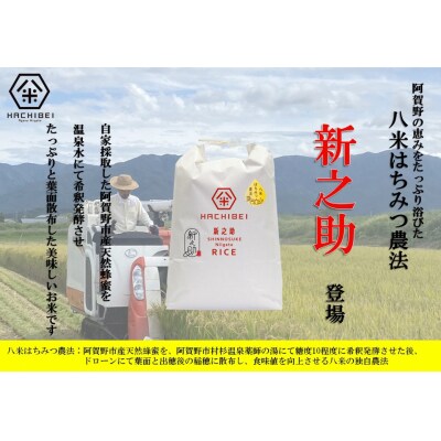【令和8年産新米先行受付】6ヶ月定期便 八米 はちみつ農法 新之助 無洗米 5kg×6回