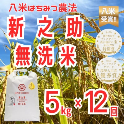 【令和8年産新米先行受付】12ヶ月定期便 八米 はちみつ農法 新之助 無洗米 5kg×12回 