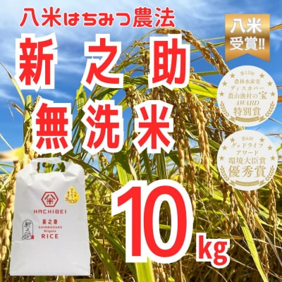 【令和7年産】HACHIBEI 八米 はちみつ農法 新之助 無洗米 10kg 
