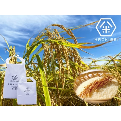 【令和7年産】6ヶ月定期便 無洗米 コシヒカリ 5kg×6回 計30kg はちみつ農法