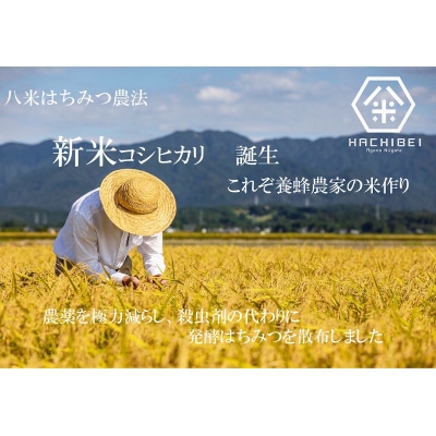 【令和7年産】6ヶ月定期便 HACHIBEI はちみつ農法 コシヒカリ 無洗米 5kg×6回 