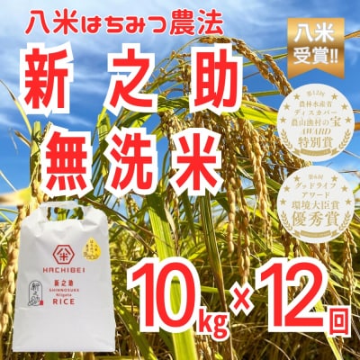【令和8年産新米受付】12ヶ月定期便 八米 はちみつ農法 新之助 無洗米 10kg×12回 