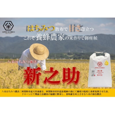 【令和8年産新米受付】12ヶ月定期便 八米 はちみつ農法 新之助 無洗米 10kg×12回 
