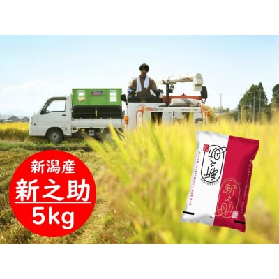 【令和7年産新米】新潟県阿賀野市産 新之助 5kg