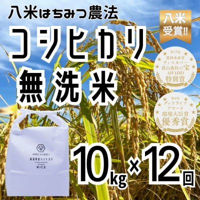 【令和8年産新米先行受付】12回定期便 八米 はちみつ農法コシヒカリ 無洗米 10kg×12回 