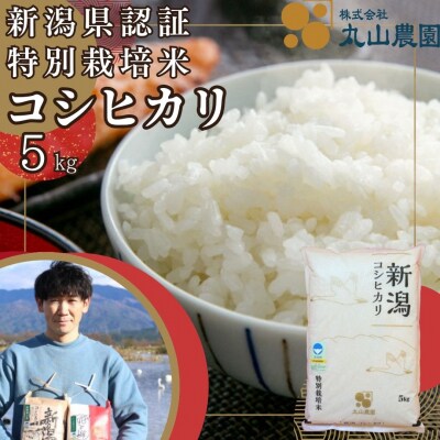【令和8年産先行受付】【新潟県認証米】 5kg 特別栽培米 従来コシヒカリ 阿賀野市産 丸山農園 