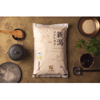 【令和8年産先行受付】【新潟県認証米】 5kg 特別栽培米 従来コシヒカリ 阿賀野市産 丸山農園 