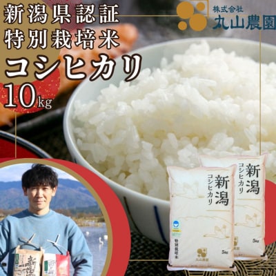 【令和8年産新米先行受付】【新潟県認証米】 10kg (5kg×2袋) 特別栽培米 従来コシヒカリ 