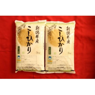 【令和8年産新米先行受付】【新潟県認証米】 10kg (5kg×2袋) 特別栽培米 従来コシヒカリ 