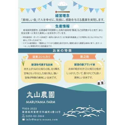 【令和8年産新米先行受付】【新潟県認証米】 10kg (5kg×2袋) 特別栽培米 従来コシヒカリ 