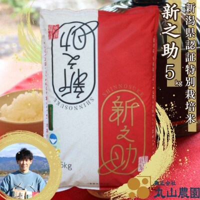 【令和8年産新米先行受付】【新潟県認証米】 5kg 特別栽培米 新之助