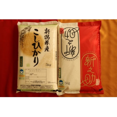 【令和8年産先行受付】従来コシヒカリ・新之助各5kg 食べ比べセット 特別栽培米 新潟県認証米 