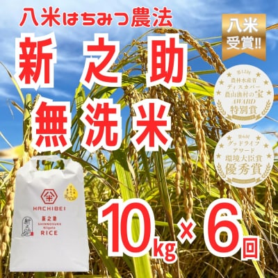 【令和8年産新米先行受付】6ヶ月定期便 八米 はちみつ農法 新之助 無洗米 10kg×6回
