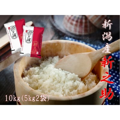 【令和8年産新米先行受付】【生産者直送】阿賀野市産「新之助」10kg(5kg×2袋)