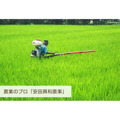 【令和7年産新米】【生産者直送】阿賀野市産「新之助」10kg