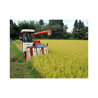 【令和8年産新米先行受付】【生産者直送】阿賀野市産「新之助」10kg(5kg×2袋)