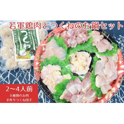 若軍鶏肉(メス)と工房謹製つくね団子のお鍋セット ひよころ鶏園