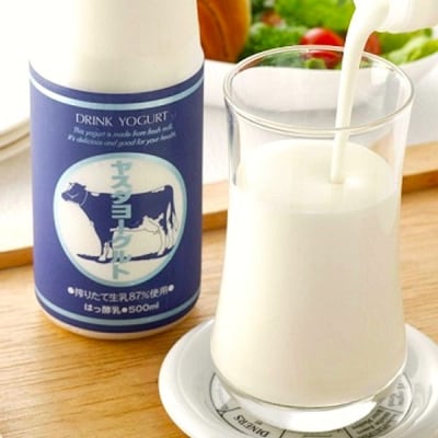 【12/21までの寄附で年内発送】ヤスダヨーグルト 800g×10本セット