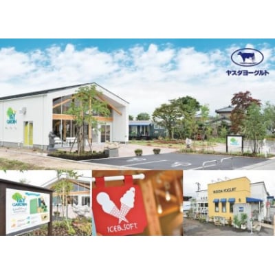 【3年連続最高金賞】ヤスダヨーグルト 800g×10本セット