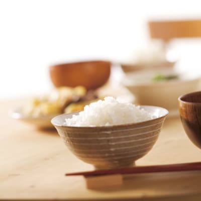 【9ヶ月定期便】 1/25 越後 米粒タイプ 1kg×6袋×9回 バイオテックジャパン