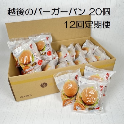 【12ヶ月定期便】【たんぱく質調整食品】越後のバーガーパン80g×20個×12回バイオテックジャパン