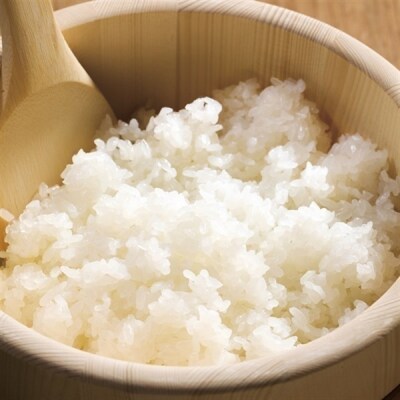 【12ヶ月定期便】 1/20 越後ごはん 150g×20個 ×12回 バイオテックジャパン