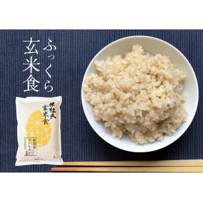【令和7年産新米】ふっくら玄米食 6kg(2kg×3)米杜氏 新潟県阿賀野市産 特別栽培コシヒカリ 
