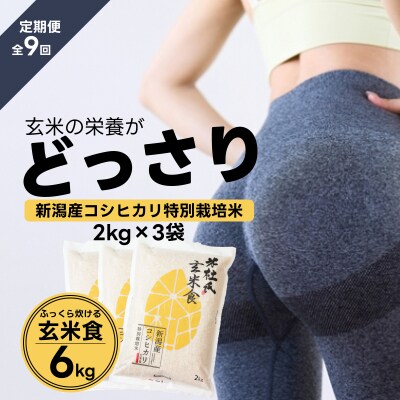 【令和7年産新米】【9ヶ月定期便】ふっくら玄米食 6kg(2kg×3)×9回 米杜氏 