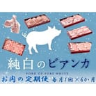 【6か月定期便】純白のビアンカコース 計4kg超 毎月違うお肉をお届け 