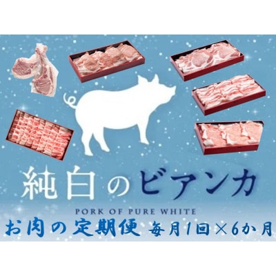 【6か月定期便】純白のビアンカコース 計4kg超 毎月違うお肉をお届け 