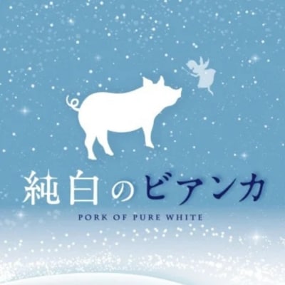 【6か月定期便】純白のビアンカコース 計4kg超 毎月違うお肉をお届け 