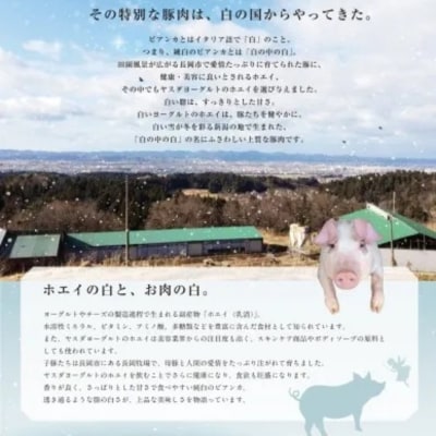 【6か月定期便】純白のビアンカコース 計4kg超 毎月違うお肉をお届け 