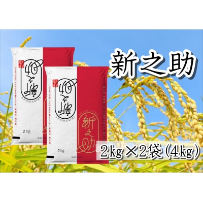 【令和7年産新米】新潟県産 新之助4kg 白米 精米 井上米穀店