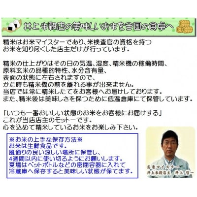 【令和7年産新米】新潟県産 新之助4kg 白米 精米 井上米穀店