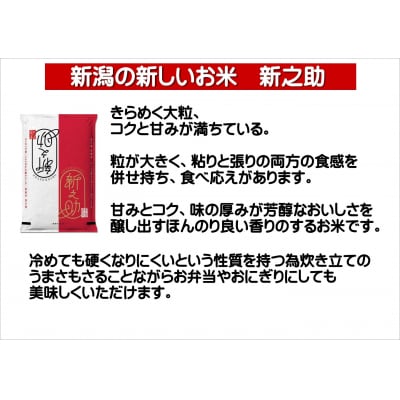 【令和7年産新米】【3回定期便】新潟県産 新之助4kg×3回 計12kg 白米 精米 井上米穀店