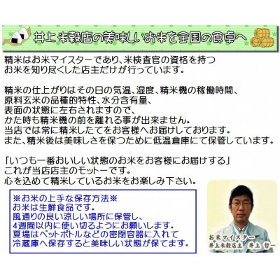 【令和7年産新米】【3回定期便】新潟県産 新之助4kg×3回 計12kg 白米 精米 井上米穀店