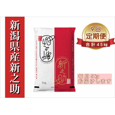 【令和8年産新米先行受付】【9回定期便】新潟県産 新之助5kg×9回 計45kg 井上米穀店