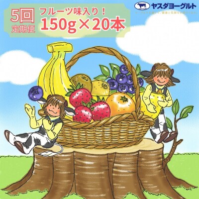 【5ヶ月定期便】ヤスダヨーグルト ミニミニお試しセット