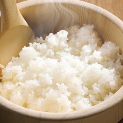 【たんぱく質調整食品】【12ヶ月定期便】 越後極み 450g×4袋×12回 バイオテックジャパン