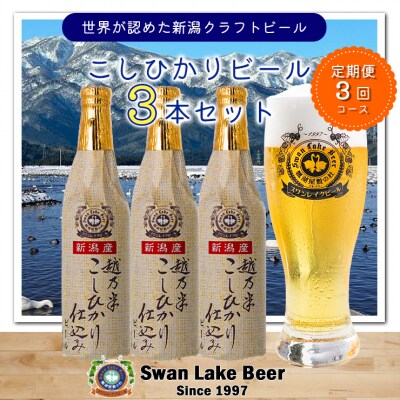 ビール スワンレイクビール 3回定期便 金賞受賞入り こしひかり仕込みビール3本セット 阿賀野市