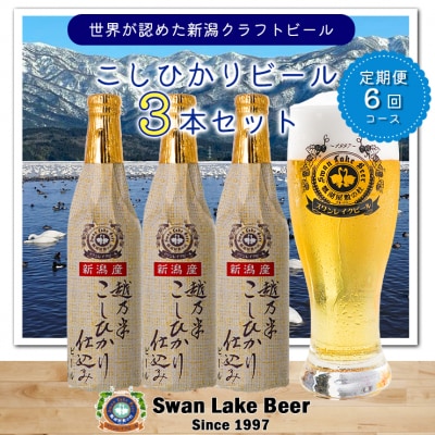 ビール スワンレイクビール 6回定期便 金賞受賞入り こしひかり仕込みビール3本セット 阿賀野市