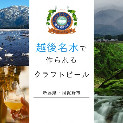 ビール スワンレイクビール 金賞受賞入り こしひかり仕込みビール24本セット 阿賀野市 新潟県
