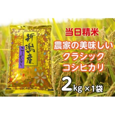 【令和8年産新米】  当日精米! 農家直送 美味しい クラシックコシヒカリ 2kg 精米 白米