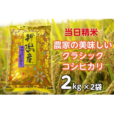 【令和8年産新米】 当日精米! 農家直送 クラシックコシヒカリ 4kg (2kg×2袋) 精米 白米