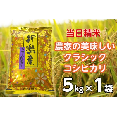 【令和7年産】 当日精米! 農家直送 美味しい クラシックコシヒカリ 5kg 精米 白米
