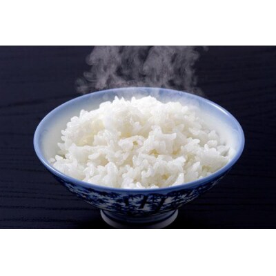 【令和7年産】【6ヶ月定期便】 農家直送 クラシックコシヒカリ 5kg×6回 計30kg 