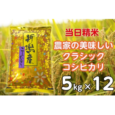 【令和8年産新米】【12ヶ月定期便】 農家直送 クラシックコシヒカリ 5kg×12回 計60kg