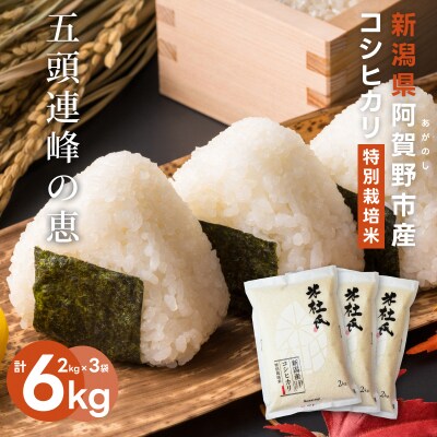 【令和7年産新米】米杜氏 新潟県阿賀野市産 特別栽培米 コシヒカリ 6kg(2kg×3袋)